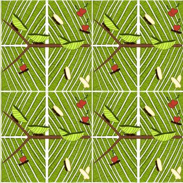 Ant leaves