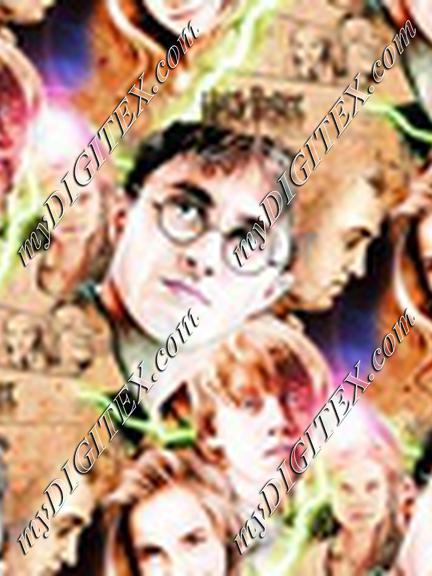 Harry Potter Dreams
