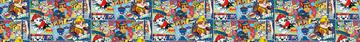 Paw Patrol Cartoon