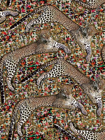 Leopards vivid