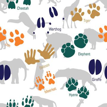 Jungle-Animal-Footprints