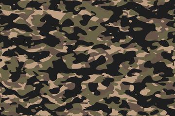 Military camouflage