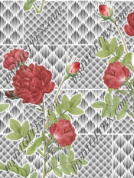 Rose Floral Check