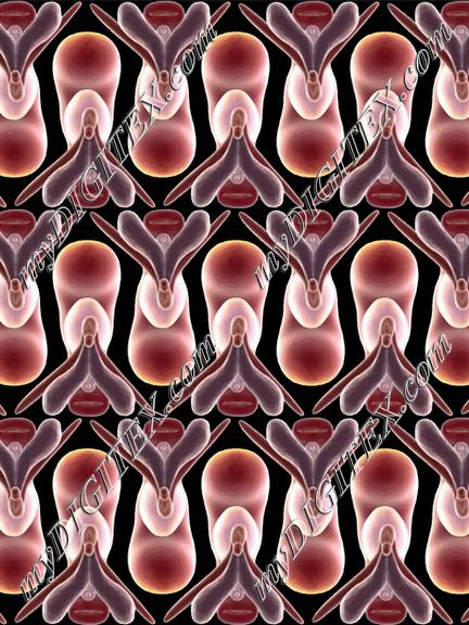 Anatomical Orchids