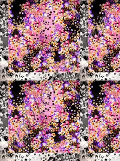 D027691