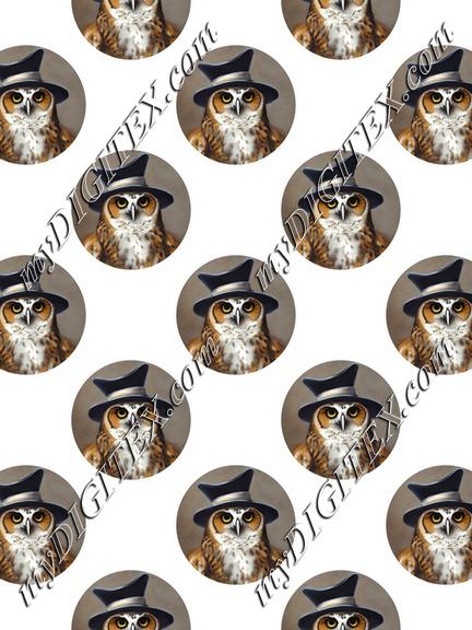 Owl with a hat pattern