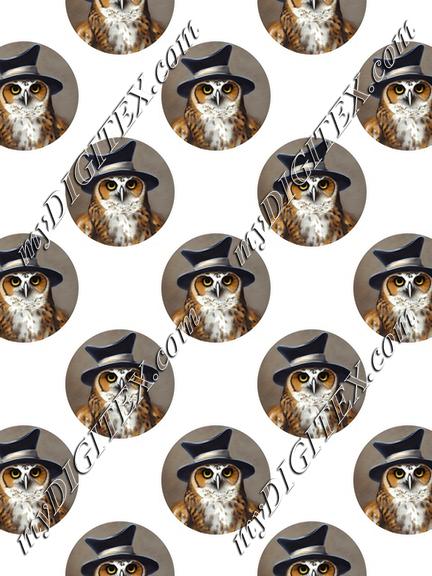 Owl with a hat pattern