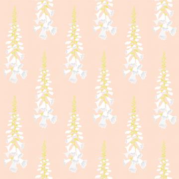 Foxglovewithtexture_peach-01