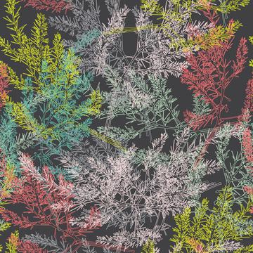 Colorfulbranch_darkbg-01