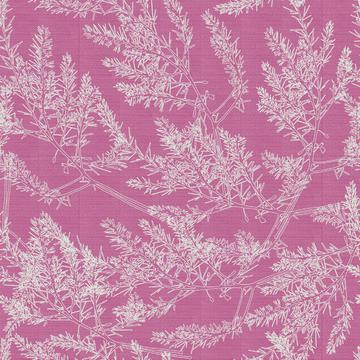 Neutralbranchlinen_cranberrybg-01