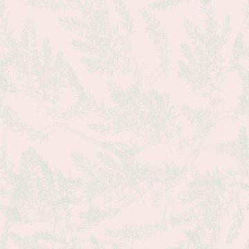 Neutralbranchlinen_ltpinkbg-01