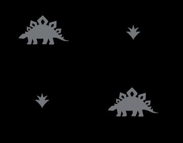 Stegosaurus Coordinate - Black Grey