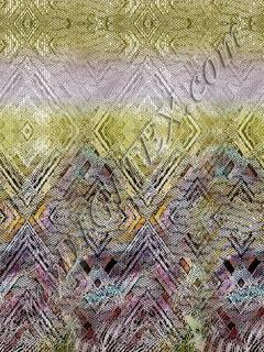 D027811