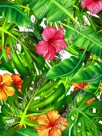 photoshop 8 png