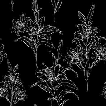 Black White Lily