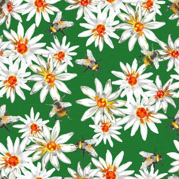 Bumblebees and daisys-Green