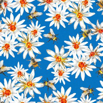 Bumblebees and daisys-Azure Blue