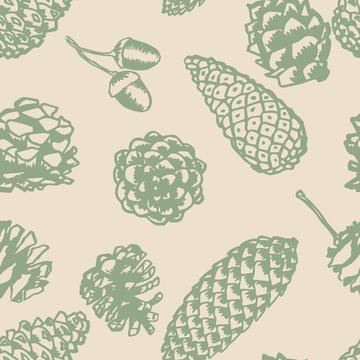 Pincones and Insects-12x12-300-Pinecones-G018