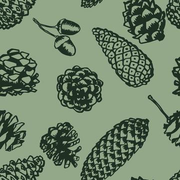 Pincones and Insects-12x12-300-Pinecones-G013