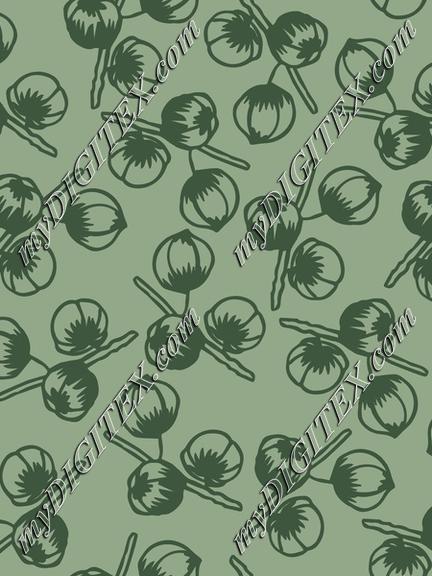 Pincones and Insects-12x12-300-Seed Pods -G014