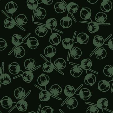 Pincones and Insects-12x12-300-Seed Pods -G002