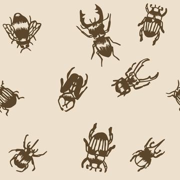 Pincones and Insects-12x12-300-Insects-001