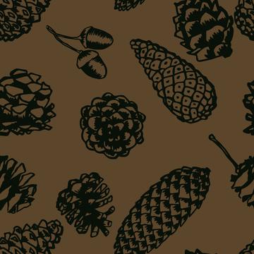 Pincones and Insects-12x12-300-Mx Cones-011