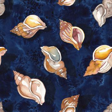 Seashells and Clams on a Sandy Blue Beach - More spaced and shadows