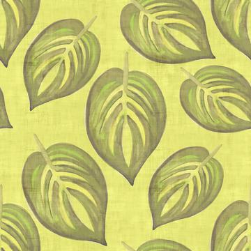 Plant Light Green Background