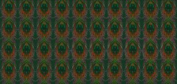 14608048_peacock-curtain-orange-magenta-gray