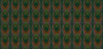 14608048_peacock-curtain-orange-magenta-gray