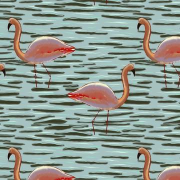 Flamingos