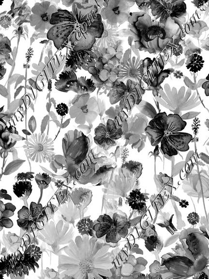 Watercolor Wildflowers Bees High Contract Black and White_230512_7M7H