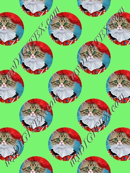 Cute cat in a red costume painting pattern