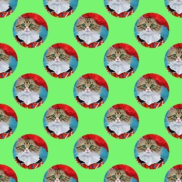 Cute cat in a red costume painting pattern