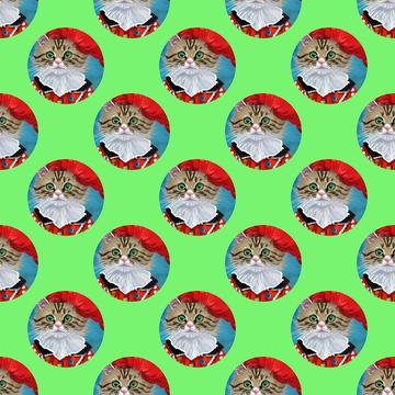 Cute cat in a red costume painting pattern