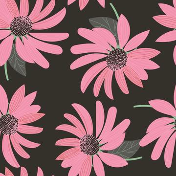 Coneflower 4