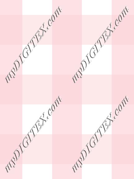 Barbie Bounding Gingham