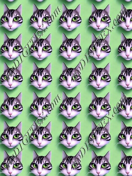 Cute cat on a green background