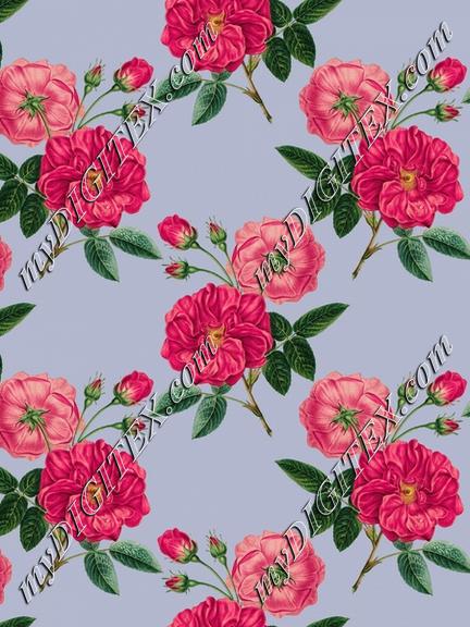 Vintage roses background