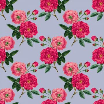 Vintage roses background
