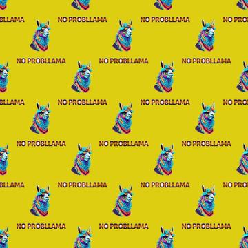 No probllama llama pattern