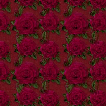 Untitled-11
