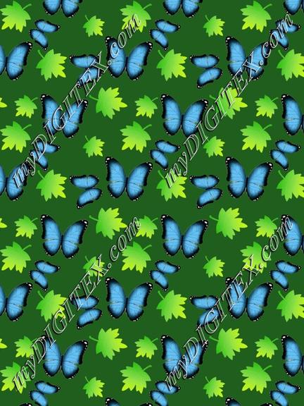 butterfly pattern