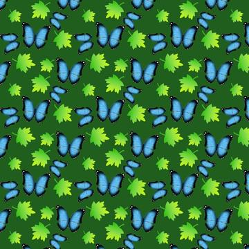 butterfly pattern