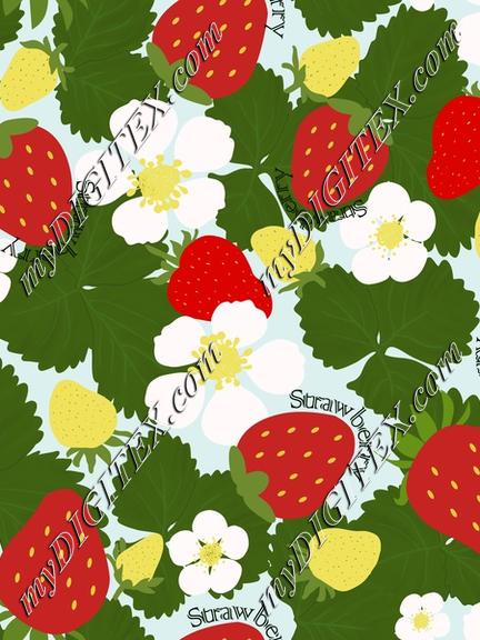 SB161714  Strawberry