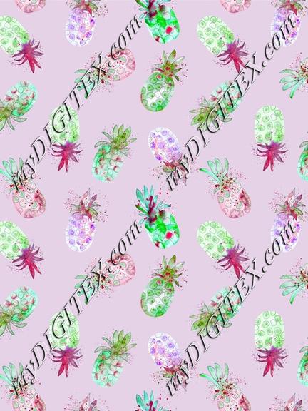 Anines pineapple 1-01