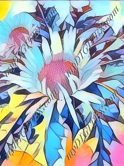 Carlina Acaulis Halina Rosa Design