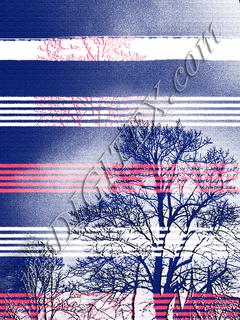 sh_455_N2