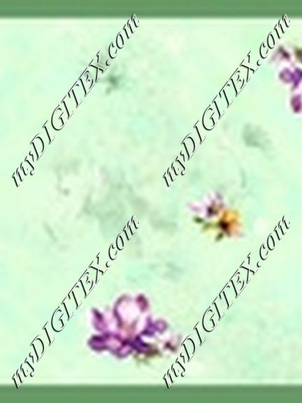 IMG-20241230-WA0025